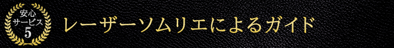 安心サービス5 レザーソムリエによるガイド